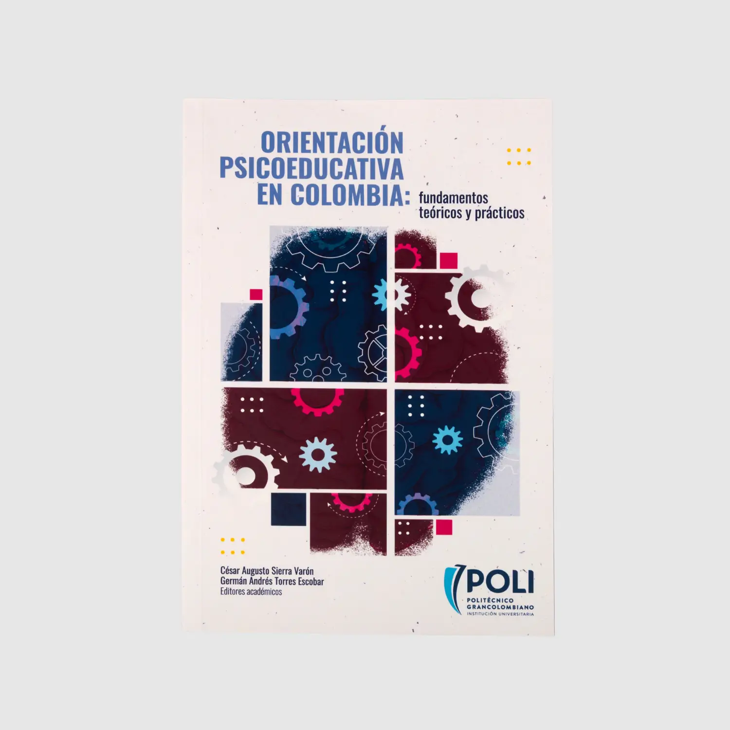 Orientación psicoeducativa en Colombia: fundamentos teóricos y prácticos